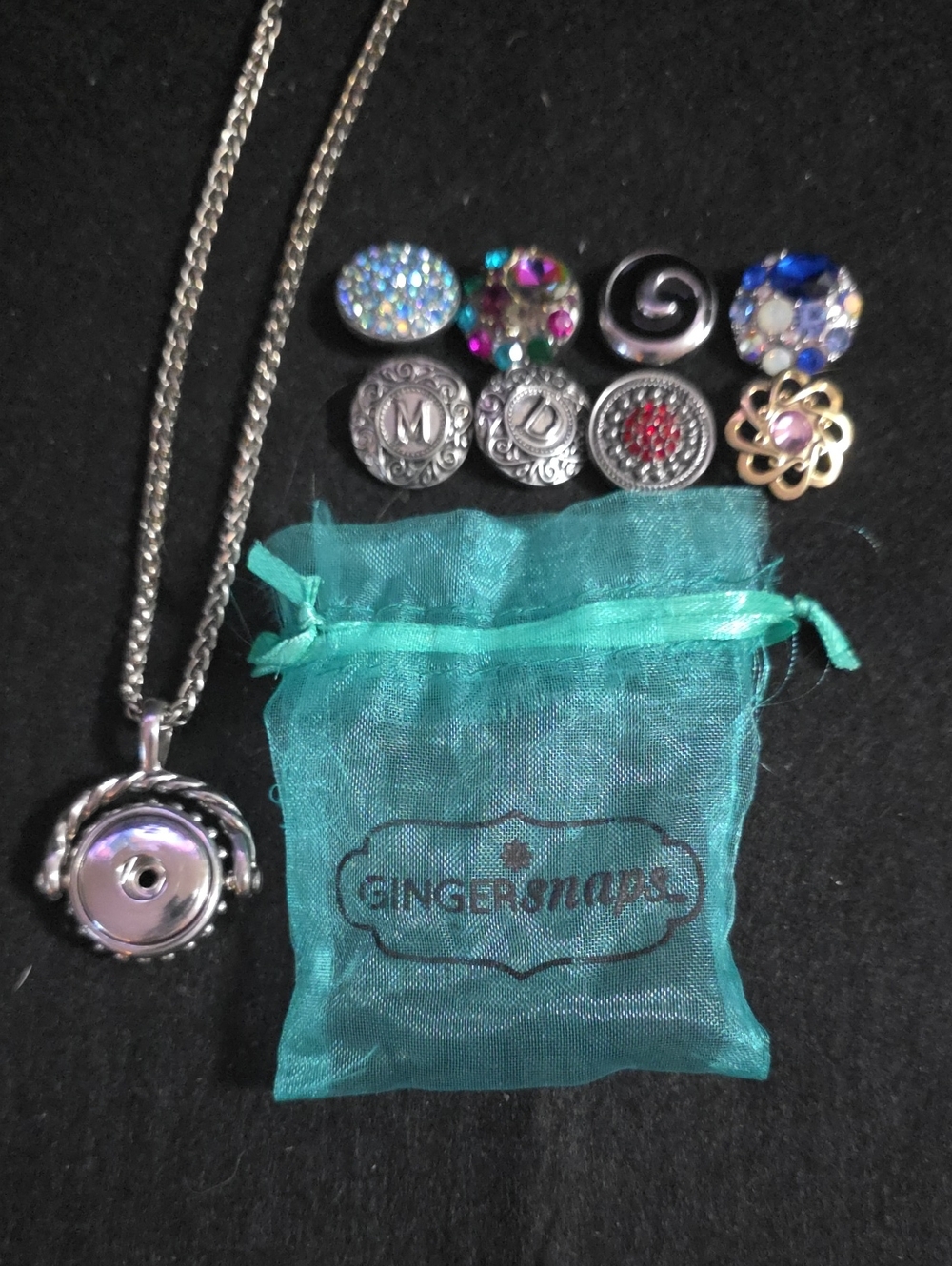 Silver Gingersnap Necklace WITH Charms